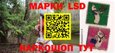 стаф Можга