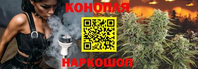 стаф Можга