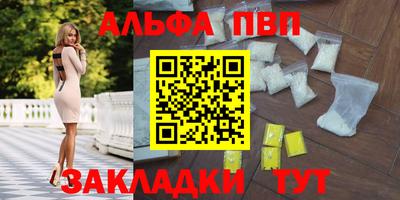 стаф Можга
